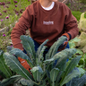 Feverfew Garden Club Sweatshirt